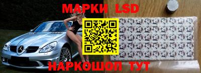 Альфа ПВП Обь