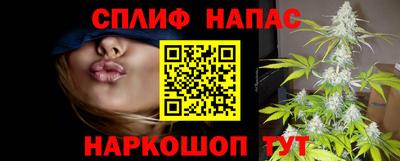 Альфа ПВП Обь
