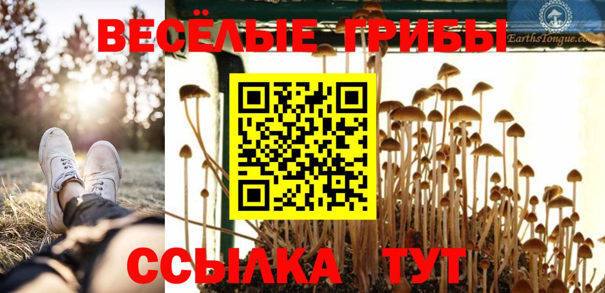Галлюциногенные грибы ЛСД  Вход с VPN  Сальск 