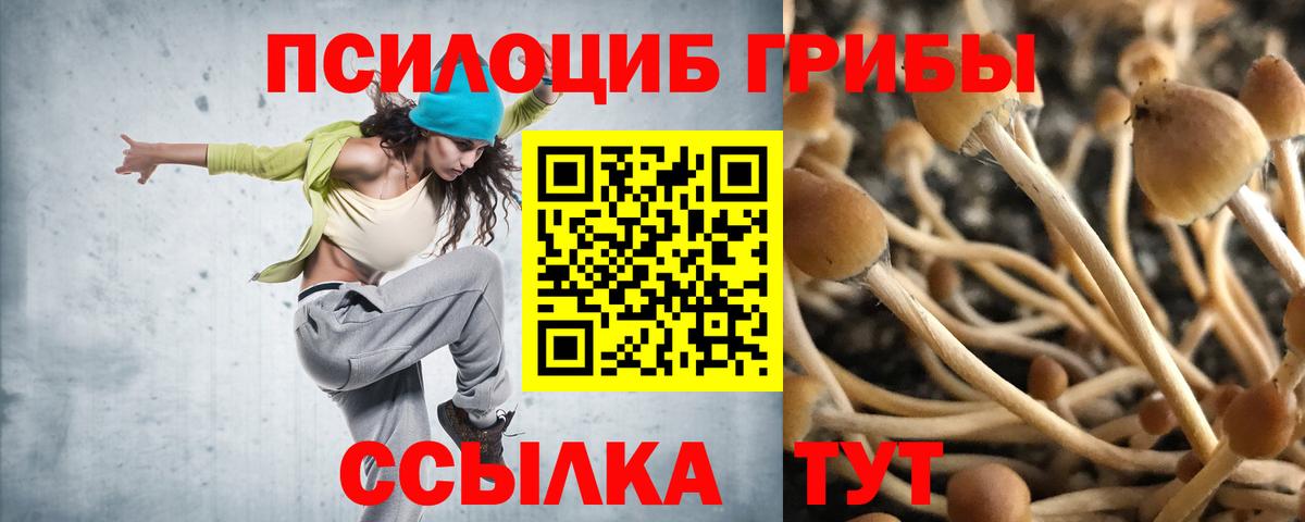 Псилоцибиновые грибы прущие грибы Сальск