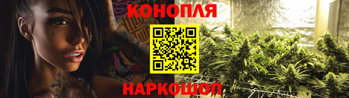 Бошки Шишки тримм  Бошки марихуана ГИДРОПОН  Вход с VPN  Конопля OG Kush  Сальск  Бошки марихуана ГИДРОПОН 